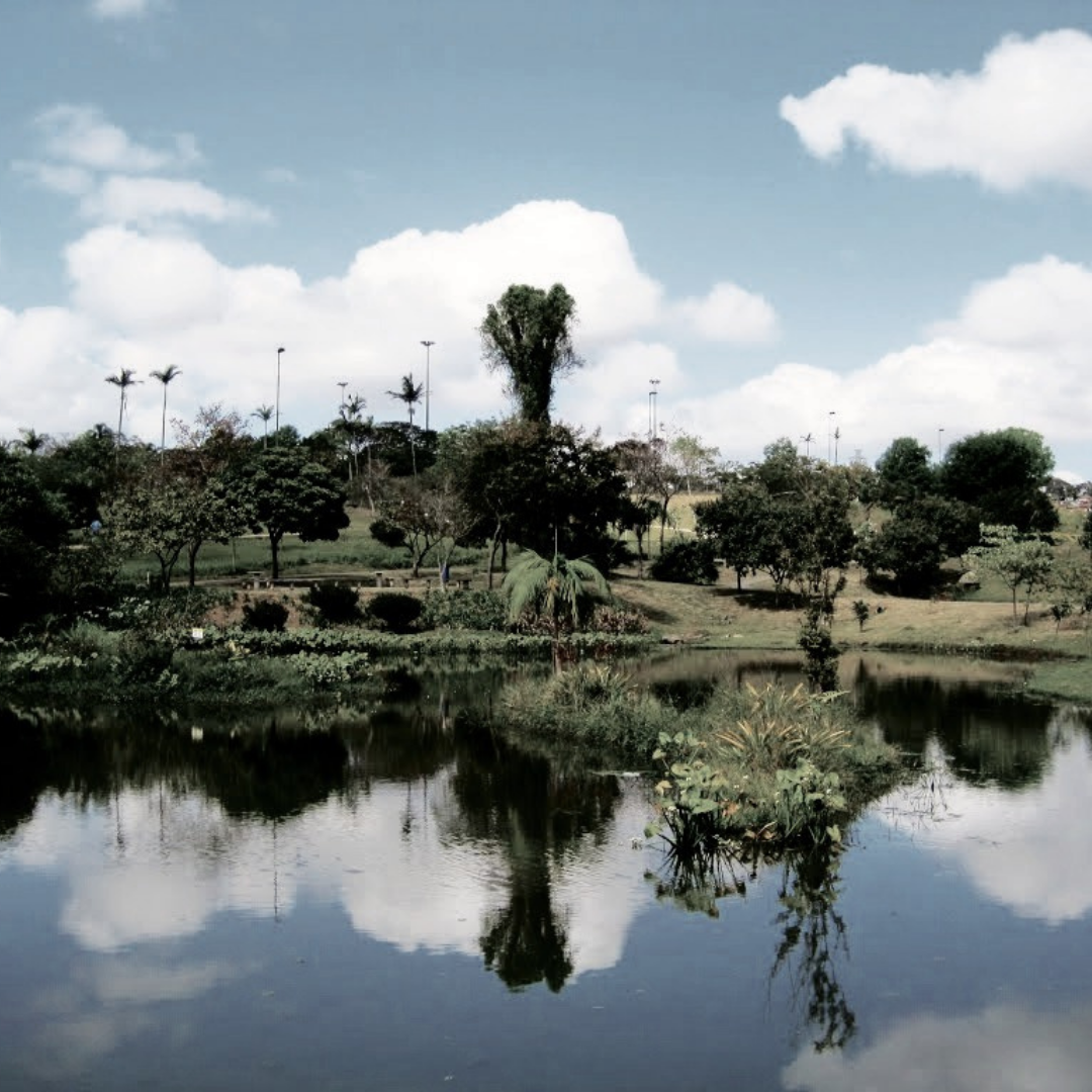 Parque Central 